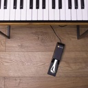 M-Audio_SP-2_Pédale (sustain) PIANO avec inverseur de polarité.