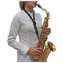 14229283_800.webp